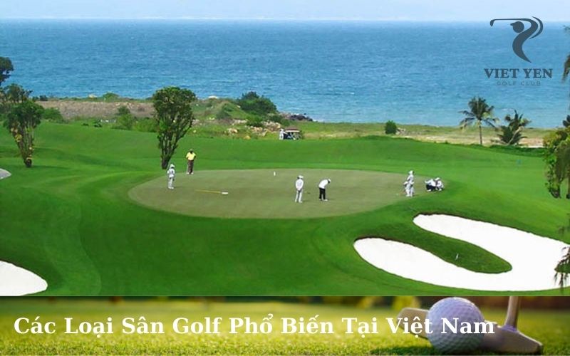 Các Loại Sân Golf Phổ Biến Tại Việt Nam