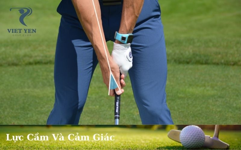 Lực Cầm Và Cảm Giác