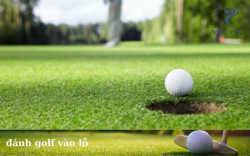 đánh golf vào lỗ