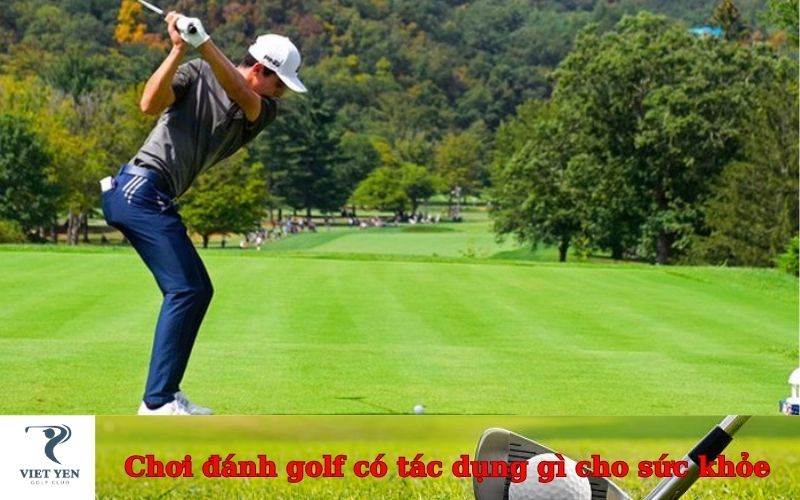 Chơi đánh golf có tác dụng gì cho sức khỏe