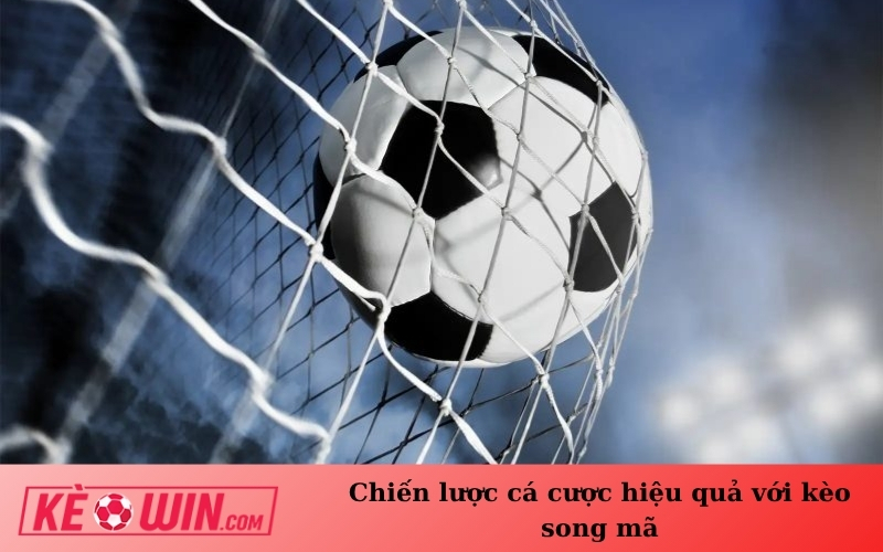 Chiến lược cá cược hiệu quả với kèo song mã