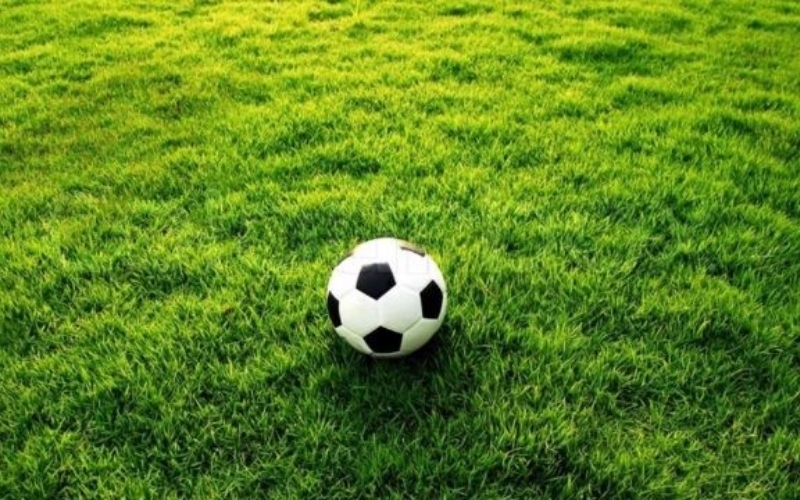 Chất lượng mặt cỏ và khả năng kiểm soát bóng