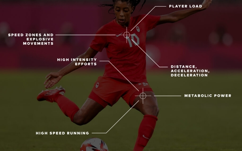 Áp dụng công thức Kelly trong phân bổ tiền cược